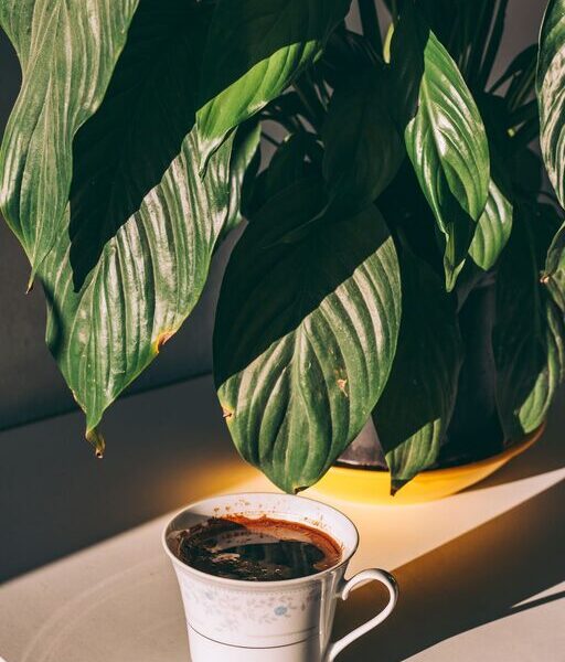 12 Ideas for Peaceful Weekend Mornings