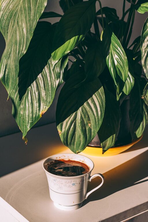 12 Ideas for Peaceful Weekend Mornings